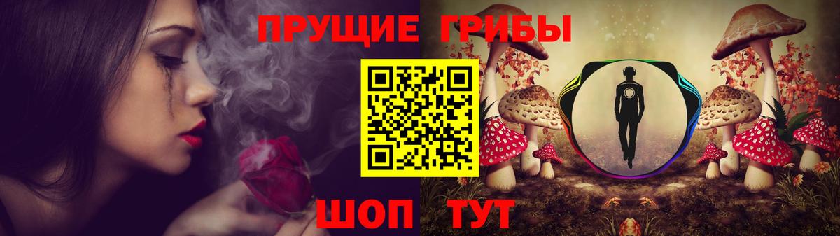 Артём  Псилоцибиновые грибы прущие грибы  Псилоцибиновые грибы мухоморы  Вход с VPN 